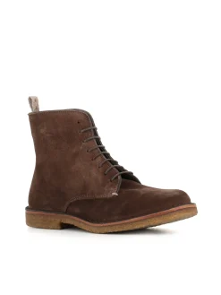 Anfibio Bootlex