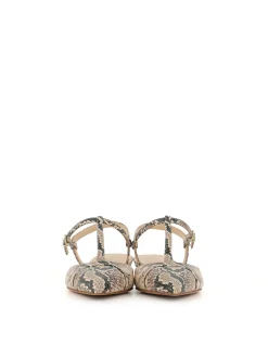 Ballerina Fiamma 5