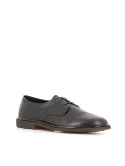 Derby 67020