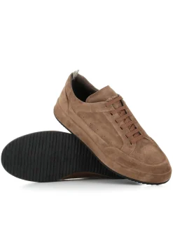 Sneaker Ace/016
