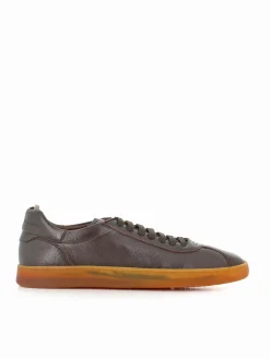 Sneaker Halo/001